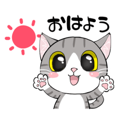 [LINEスタンプ] 猫の日常、楽しく