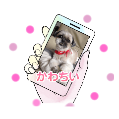 [LINEスタンプ] ◎めろんちゃん◎