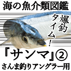[LINEスタンプ] 『さんま -秋刀魚-』ルアー・サビキ釣り編の画像（メイン）