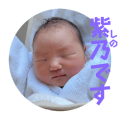 [LINEスタンプ] ドレミファソラシノちゃんによる日常会話編