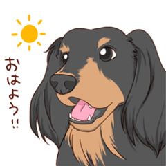 [LINEスタンプ] 毎日どこでもいっしょ