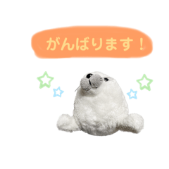 [LINEスタンプ] あざらしのおうちゃん 日常丁寧言葉