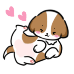 [LINEスタンプ] シーズー犬好きのための日常スタンプの画像（メイン）