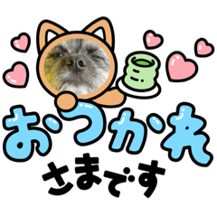 [LINEスタンプ] まるもる