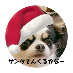 [LINEスタンプ] (クリスマス限定)あにーじじ