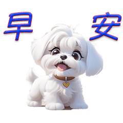 [LINEスタンプ] かわいいマルチーズの子犬の日常会話