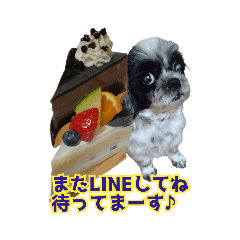 [LINEスタンプ] 癒やしの愛犬クリさんからLINE送信