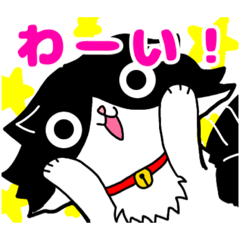 [LINEスタンプ] ハチワレ猫のダリちゃん