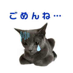 [LINEスタンプ] ちゃび（あいさつ）