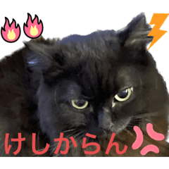 [LINEスタンプ] 黒猫 ルナ院長127にゃんめ