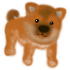 [LINEスタンプ] しば犬こいぬ（柴犬子犬）