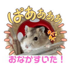 [LINEスタンプ] 天使ん爛漫ハムスターきいちゃん