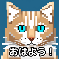 [LINEスタンプ] 猫の挨拶と受け答えスタンプ