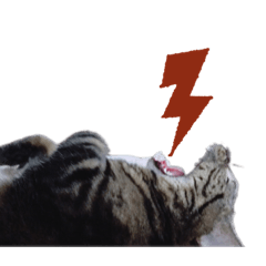[LINEスタンプ] はる（日常）