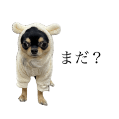 [LINEスタンプ] つなです。