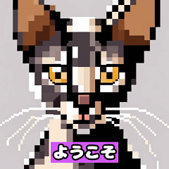 [LINEスタンプ] ねこピクセル