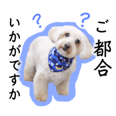 [LINEスタンプ] 3兄弟レオン、マロ、ロン8