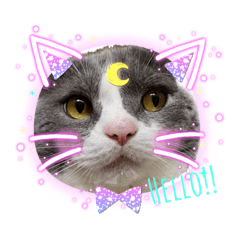 [LINEスタンプ] うにょにょ。スタンプpart5