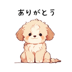 [LINEスタンプ] 癒しのトイプードルの子犬♡
