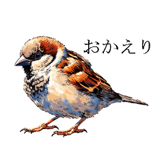 [LINEスタンプ] 鳥の魅力がいっぱい！写実的な鳥スタンプ