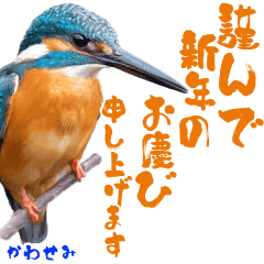 [LINEスタンプ] 【年末年始・お正月】可愛い野鳥スタンプ！