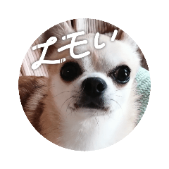 [LINEスタンプ] 428(4)