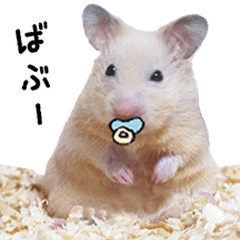 [LINEスタンプ] キンクマハムスターぽてとの日常①