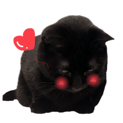 [LINEスタンプ] 黒猫のもふ③