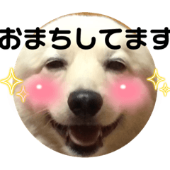 [LINEスタンプ] 舎利と山葵