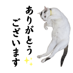 [LINEスタンプ] くぅちゃんとちろちゃんと仲間達  3