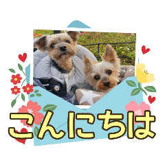 [LINEスタンプ] レオン・ナナ