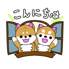 [LINEスタンプ] 柴犬日和(日常)